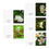 Thumbnail: White Blossoms Blank Greeting Cards (5-Pack)