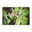 Thumbnail: Swirly Snail Minky Blanket 