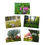 Thumbnail: Spring Flowers Blank Greeting Cards (5-Pack)