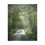 Thumbnail: Misty Morning Puzzle 