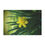 Thumbnail: Daffodil Minky Blanket 