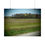 Thumbnail: Blooming Trees & Meadows Poster