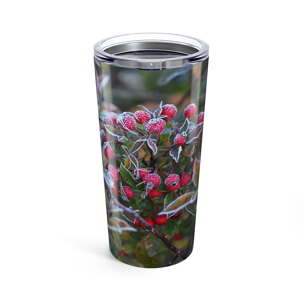 Frosty Rose Hips Insulated Tumbler