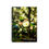 Thumbnail: Sunshine on Blossom Spiral Notebook - Ruled Line