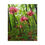 Thumbnail: Wild Pink Columbines Puzzle