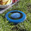 Thumbnail: Wham-O Frisbee Monarch Butterfly Frisbee