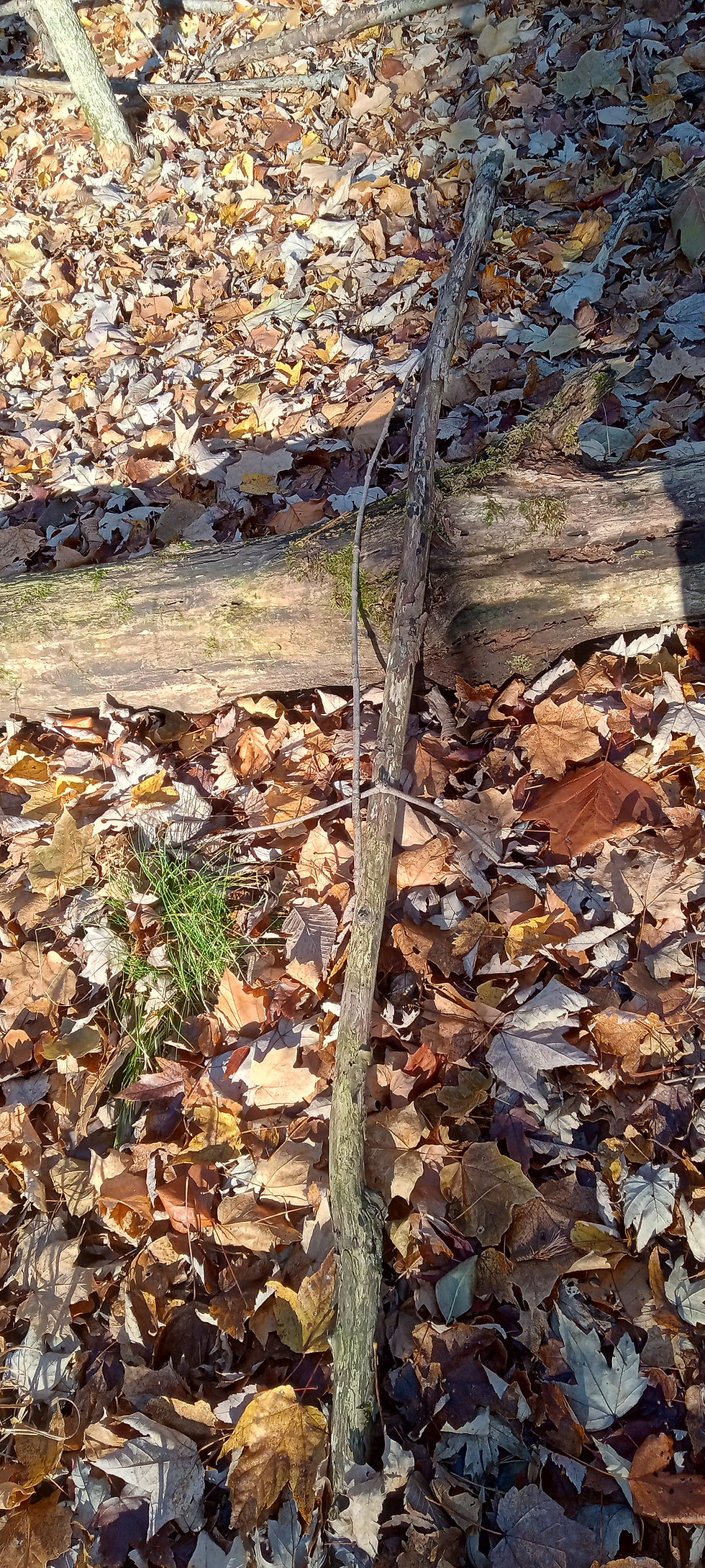 Another little design...