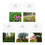 Thumbnail: Spring Flowers Blank Greeting Cards (5-Pack)
