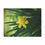 Thumbnail: Daffodil Minky Blanket 