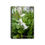 Thumbnail: Raindrops on White Flowers Spiral Notebook - Ruled Line