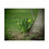 Thumbnail: Spring Daffodils Poster