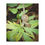 Thumbnail: Swirly Snail Minky Blanket 