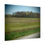 Thumbnail: Blooming Trees & Meadows Poster