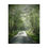 Thumbnail: Misty Morning Poster