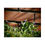Thumbnail:  Springtime Violets Poster