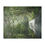 Thumbnail: Misty Morning Minky Blanket
