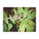 Thumbnail: Swirly Snail Minky Blanket 