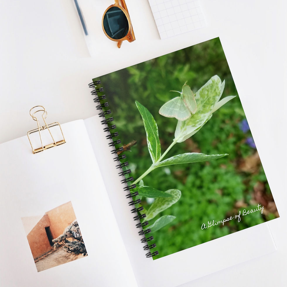Moth Spiral Notebook - Ruled Line