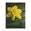 Thumbnail: Detailed Daffodil Minky Blanket 