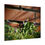 Thumbnail:  Springtime Violets Poster