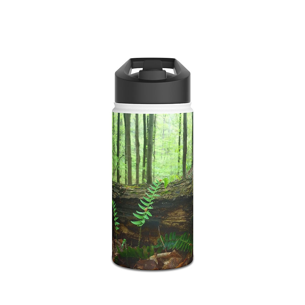 Fern in the Woods Stainless Steel Water Bottle