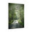 Thumbnail: Misty Morning Poster
