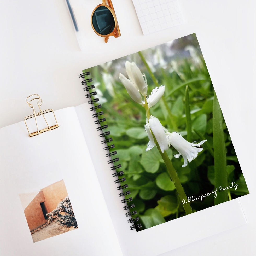Raindrops on White Flowers Spiral Notebook - Ruled Line