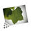 Thumbnail: Detailed Tulip Leaf Puzzle