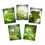 Thumbnail: Spring Leaves Greeting Cards Set (5-Pack) - Perfect for All Occasions