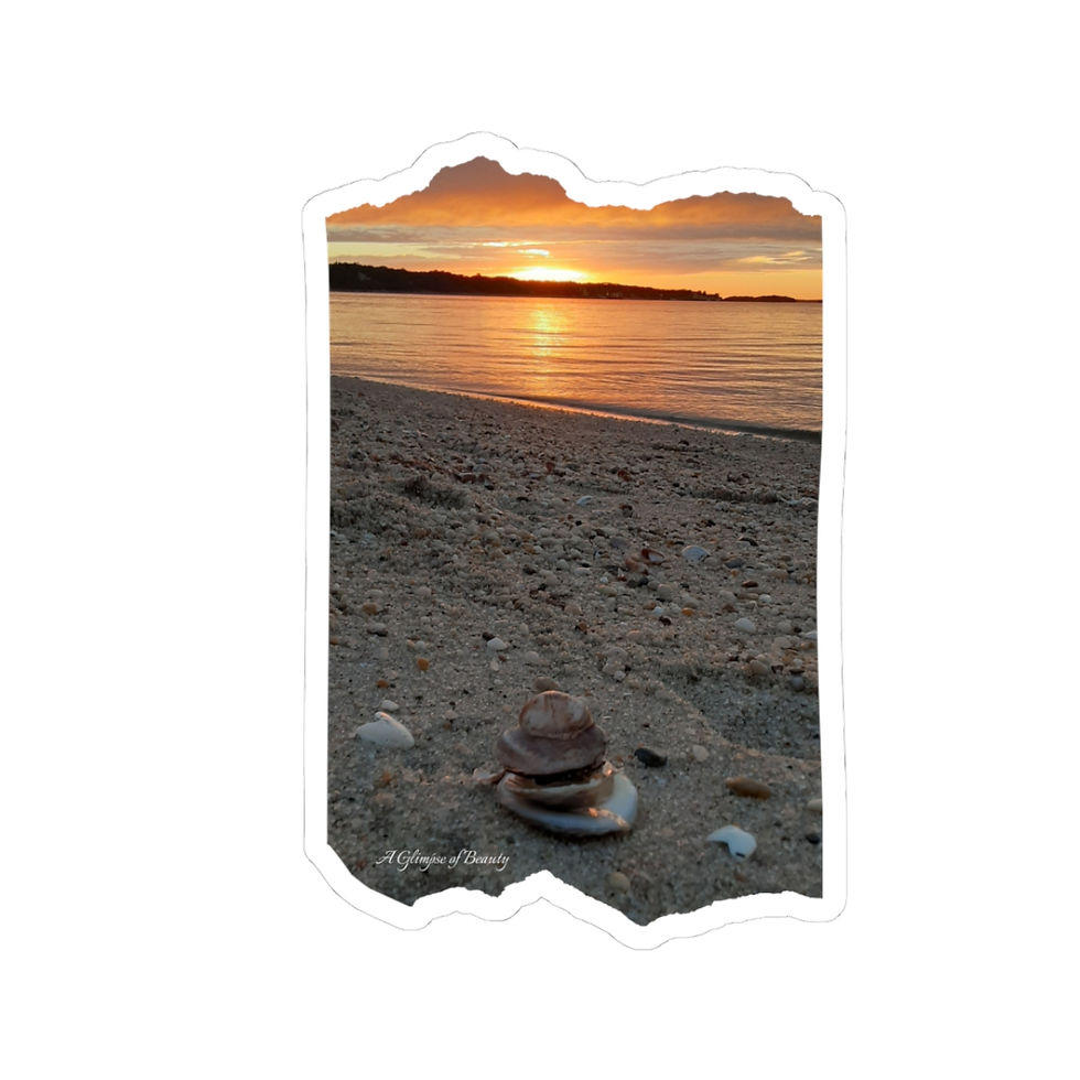 Sunset on Circle Beach Vinyl Sticker