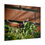 Thumbnail:  Springtime Violets Poster