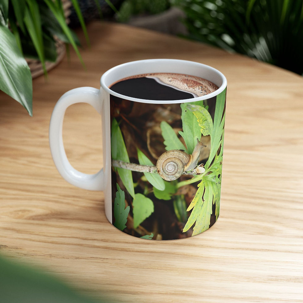 Swirly Snail Ceramic Mug