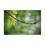 Thumbnail: Water Drop on A Maple Twig Puzzle