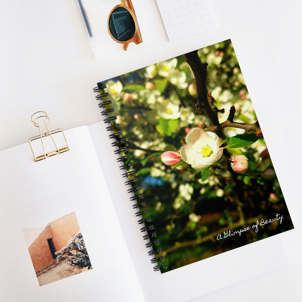 Sunshine on Blossom Spiral Notebook - Ruled Line