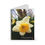 Thumbnail: Spring Daffodil Spiral Notebook - Ruled Line