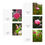 Thumbnail: Pink Blossoms Blank Greeting Cards (5-Pack)