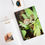 Thumbnail: Swirly Snail Spiral Notebook