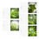 Thumbnail: Spring Leaves Greeting Cards Set (5-Pack) - Perfect for All Occasions
