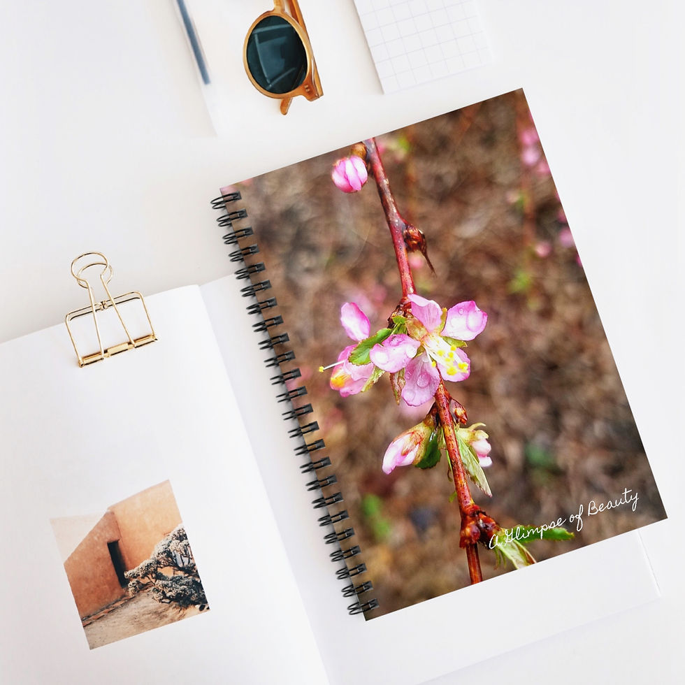 Raindrops on Pink Blossoms Spiral Notebook - Ruled Line