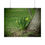 Thumbnail: Spring Daffodils Poster