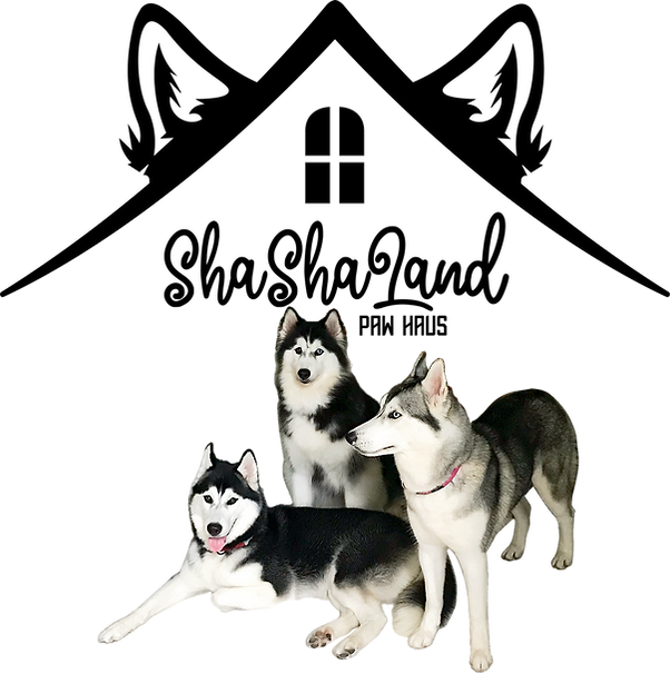 SSL Wiv 3M Logo transparent.png