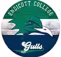 endicott-college-20-x-20-retro-logo-circle-sign_pi5110000_ff_5110531-a53d12c1723eb1750dfc_