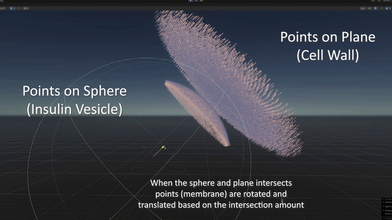 Membrane Fusion Side View 2.gif
