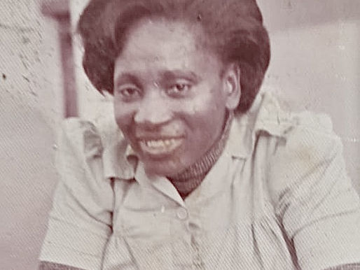 II - ARQUIVO FAMILIAR E SEUS DESAFIOS