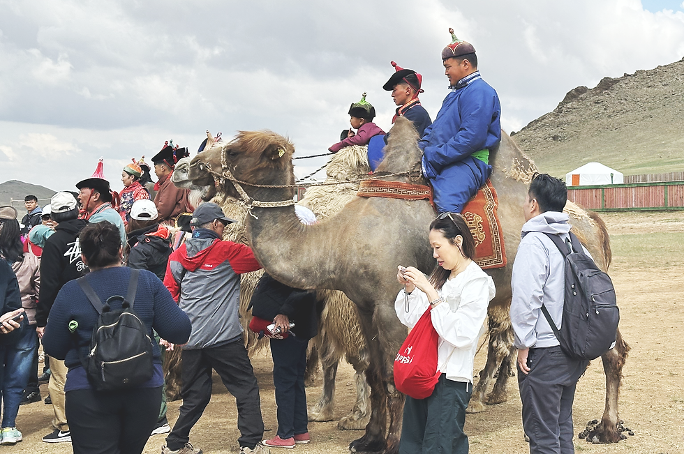 People in traditional clothes riding camels in a grassy area, surrounded by tourists taking photos. Cloudy sky and a yurt in the background.