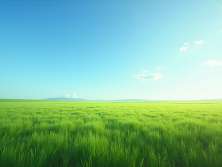 Central Mongolia Highlights: Discover the Heart of the Steppe