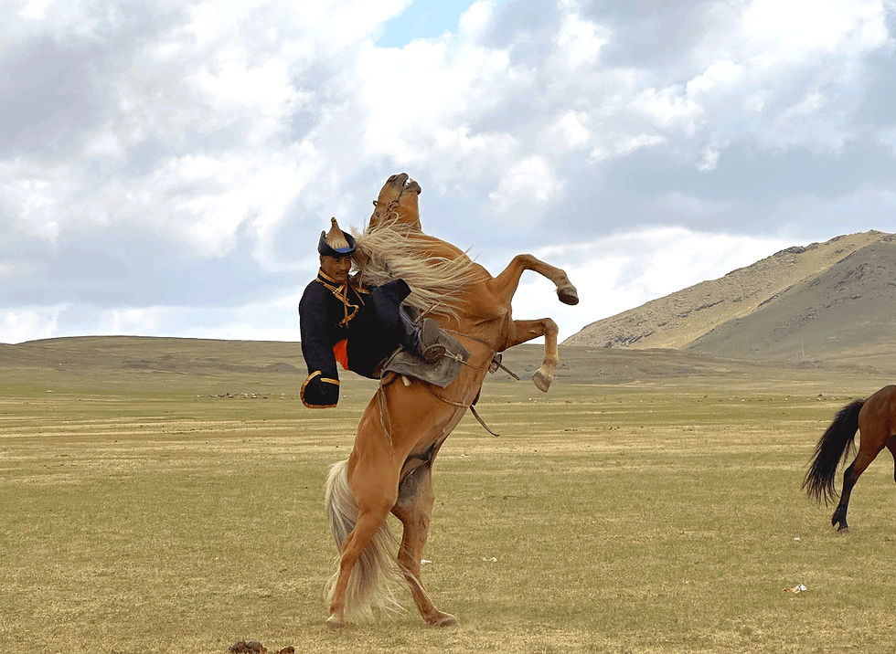 A rider in traditional attire on a rearing chestnut horse in an open grassy plain with hills and cloudy sky in the background.