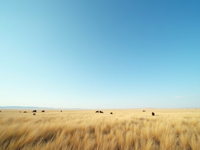 Mongolia Travel Seasons: The Best Times to Visit Mongolia