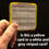 Thumbnail: MatchSKINS (Field Hockey)