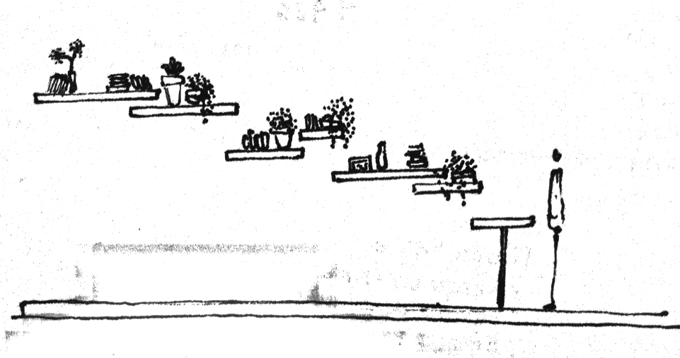 Perimetral Plants Sketch